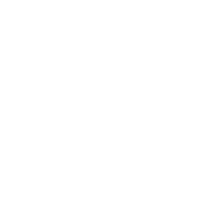 www.HairPerfexion.com logo